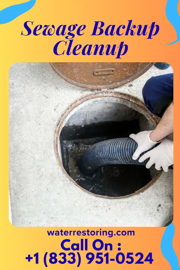 Sewage Backup Cleanup in Hunterstown, PA